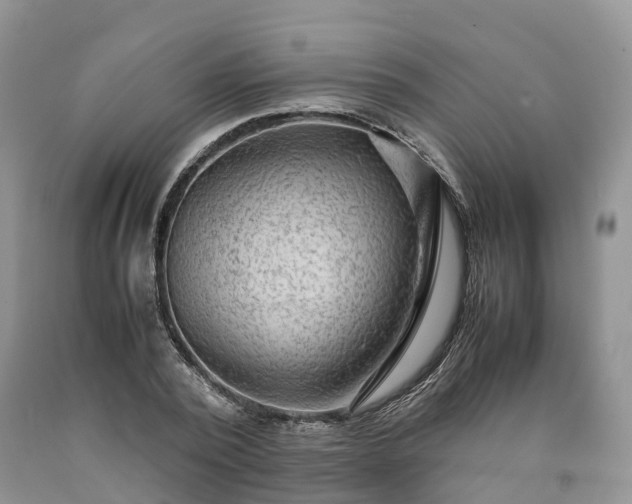 X0000090470784200707201353