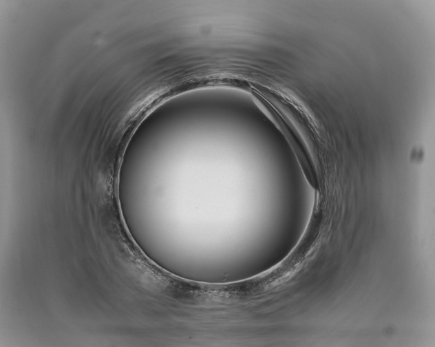 X0000090470785200707201353