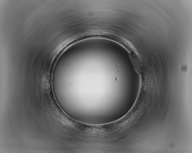 X0000090470786200707201353