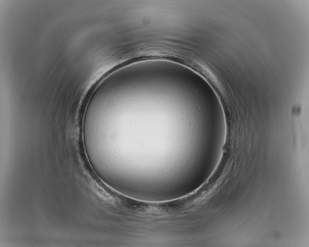 X0000090470787200707201353
