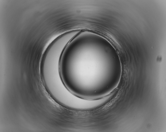 X0000090470788200707201353
