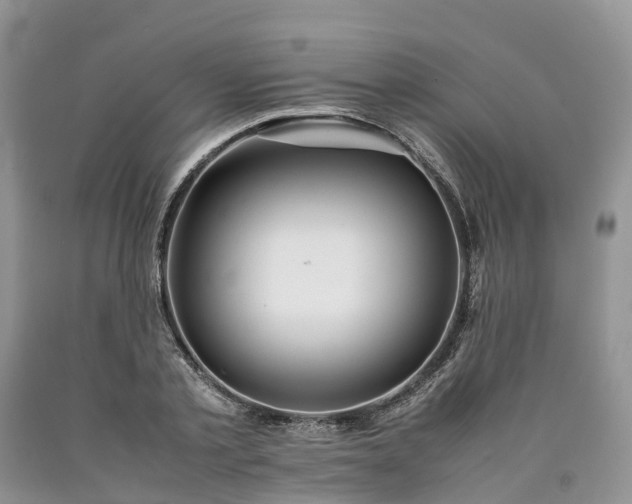 X0000090470789200707201353