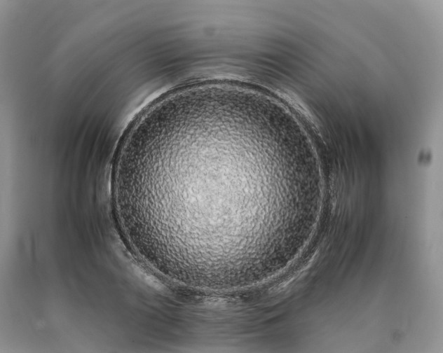 X0000090470790200707201353