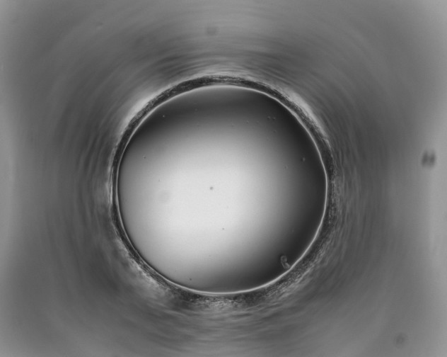 X0000090470791200707201353