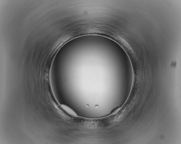 X0000090470793200707201353