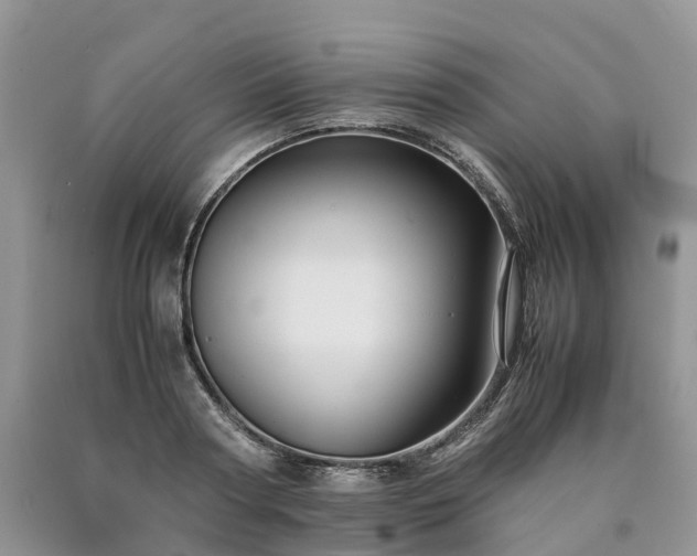 X0000090470794200707201353