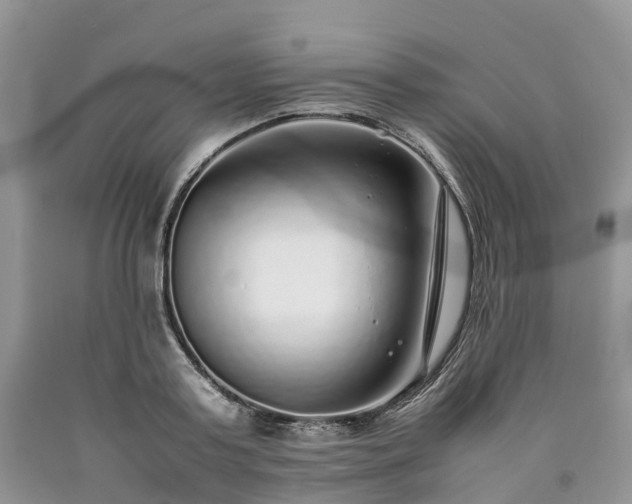 X0000090470795200707201353