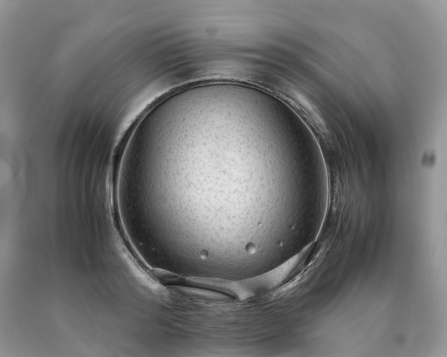 X0000090470796200707201353