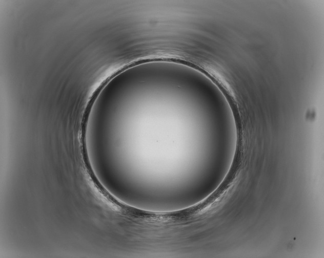 X0000090470797200707201353