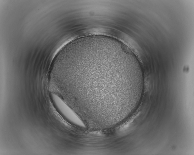 X0000090470798200707201353