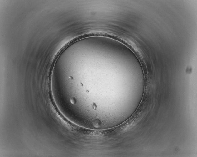 X0000090470799200707201353