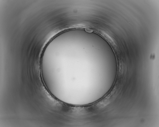 X0000090470800200707201353