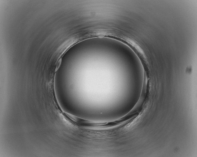 X0000090470801200707201353