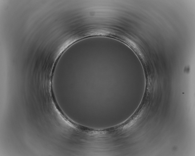 X0000090470802200707201353