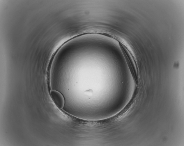 X0000090470803200707201353