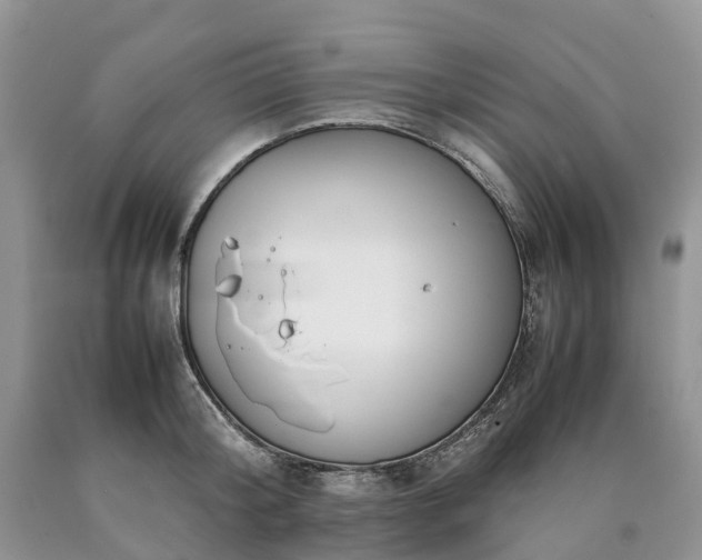X0000090470804200707201353