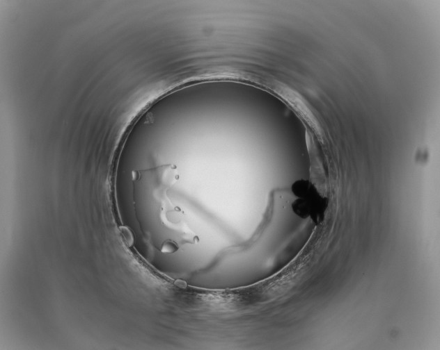 X0000090470805200707201353