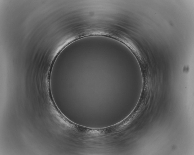 X0000090470806200707201353