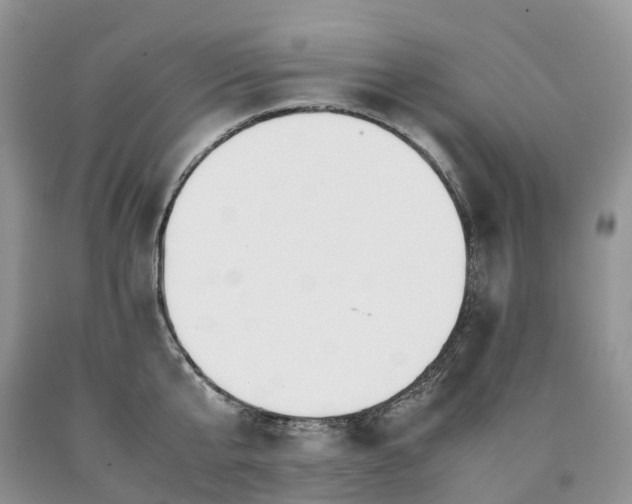 X0000090470807200707201353