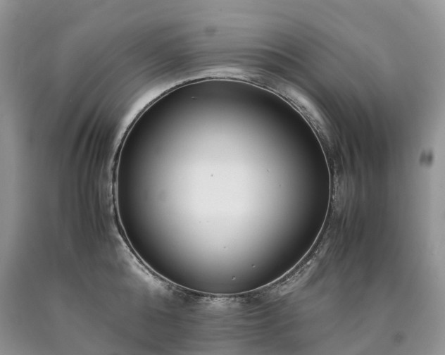 X0000090470808200707201353