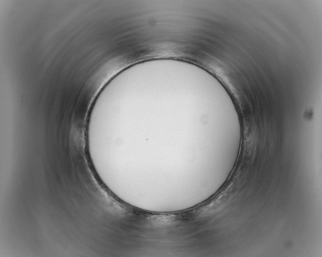 X0000090470810200707201353