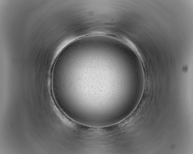 X0000090470811200707201353