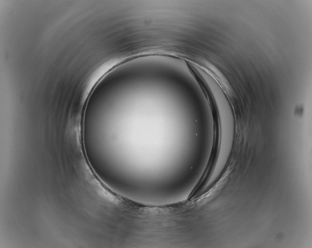 X0000090470812200707201353