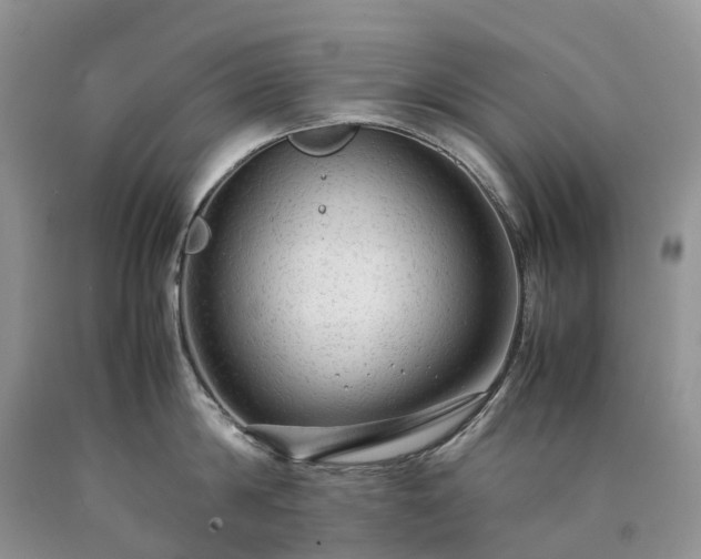 X0000090470814200707201353