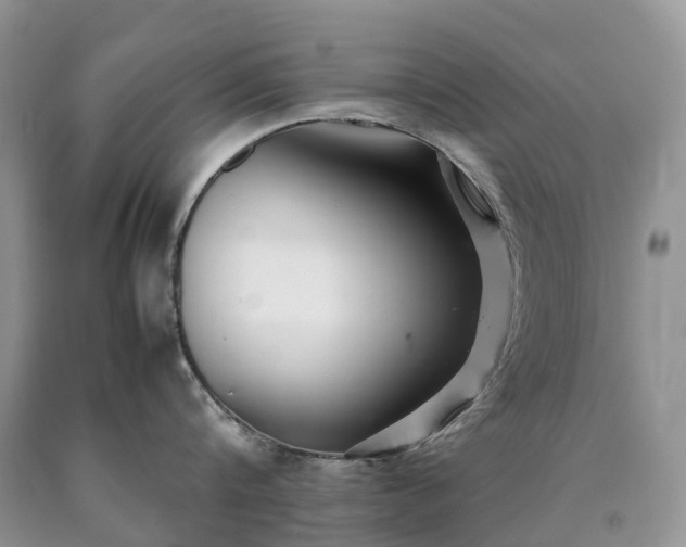 X0000090470816200707201353