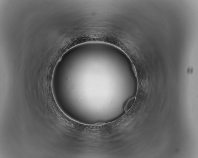 X0000090470817200707201352