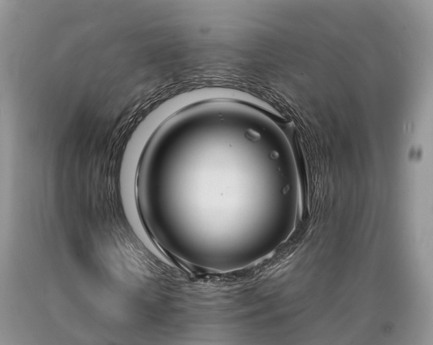 X0000090470818200707201352