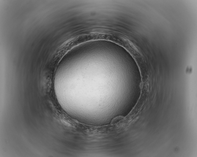 X0000090470821200707201352