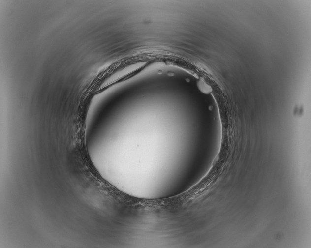 X0000090470822200707201352