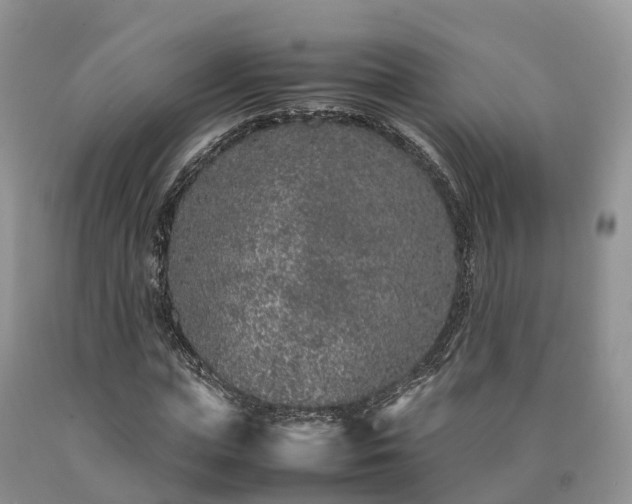 X0000090470823200707201352