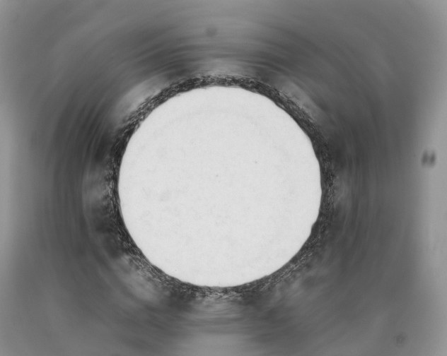 X0000090470824200707201352
