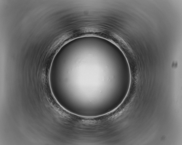 X0000090470825200707201352