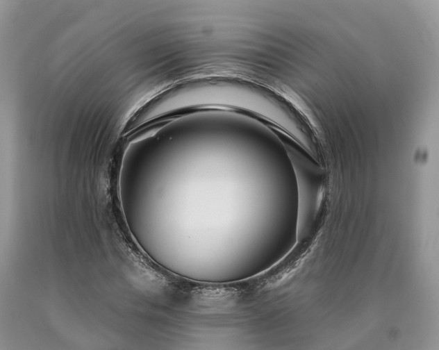X0000090470826200707201352