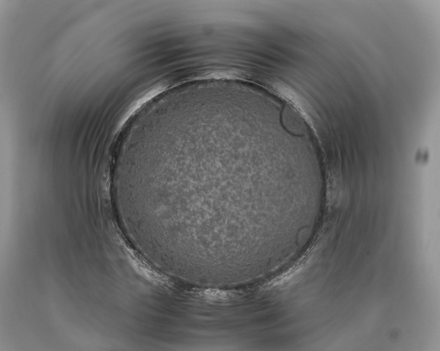 X0000090470827200707201352
