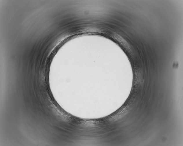 X0000090470828200707201352