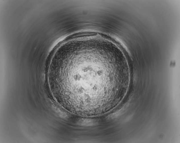 X0000090470829200707201352
