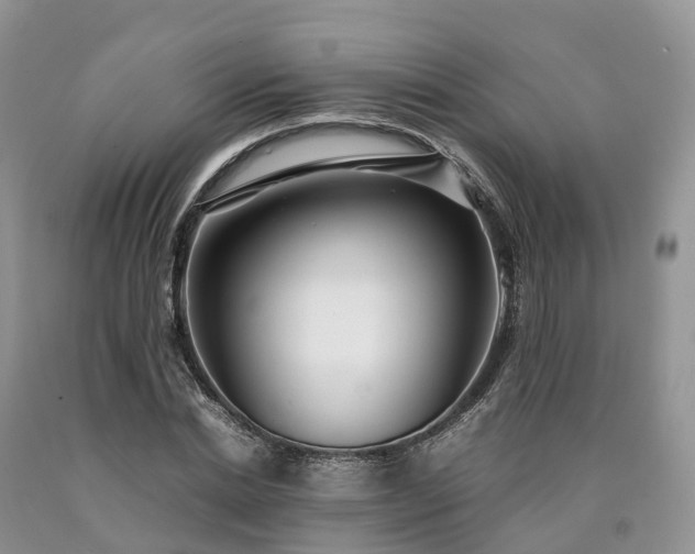 X0000090470830200707201352