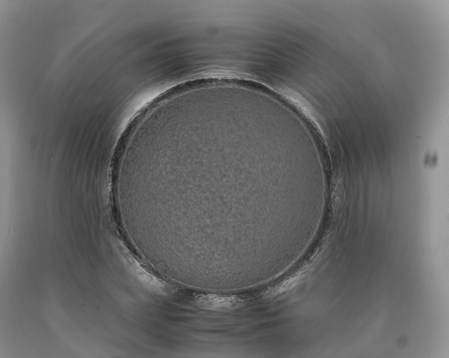 X0000090470831200707201352