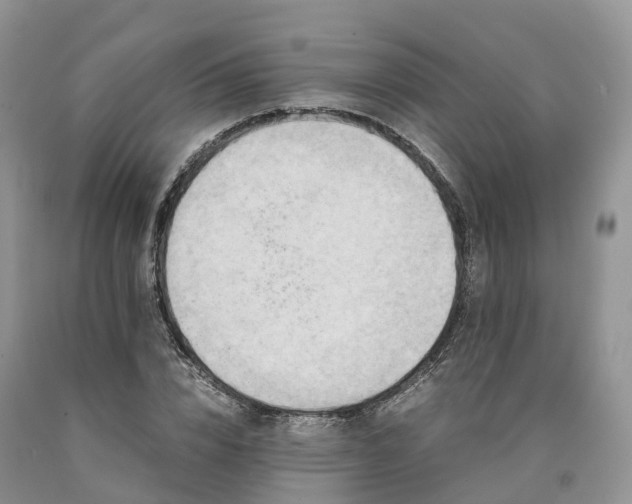 X0000090470832200707201352