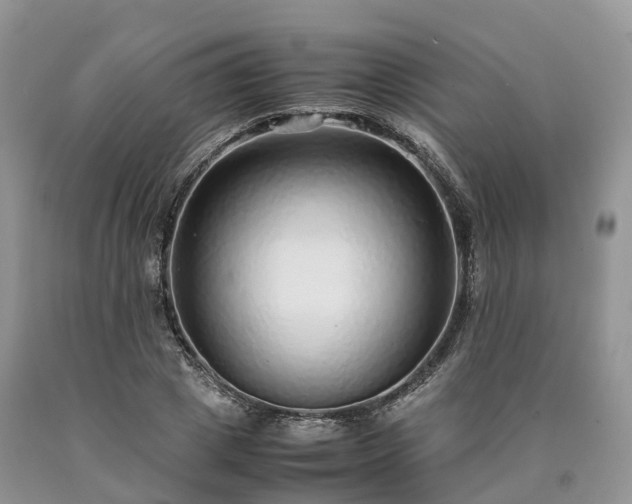 X0000090470833200707201352