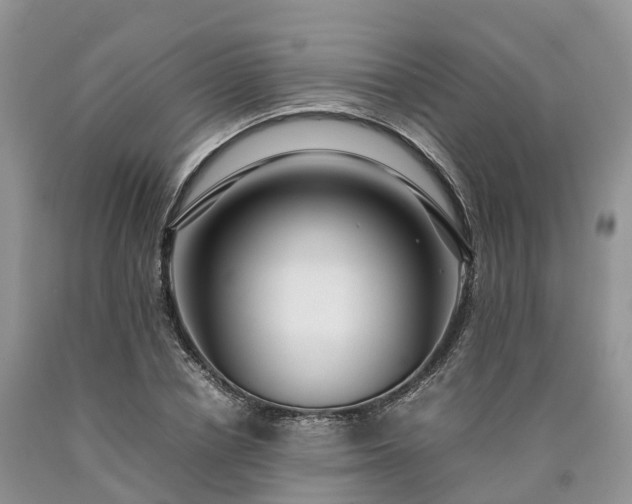 X0000090470834200707201352
