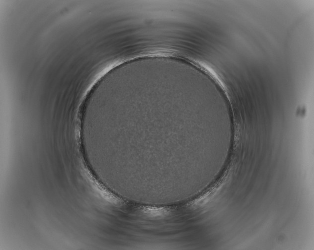 X0000090470835200707201353