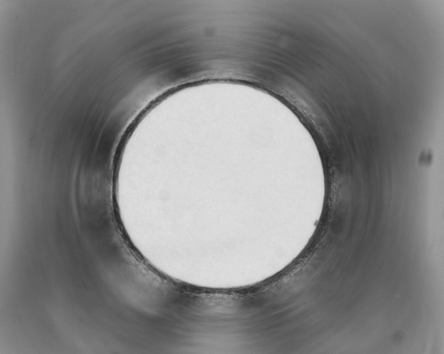 X0000090470836200707201353