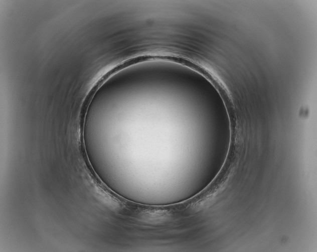 X0000090470837200707201353
