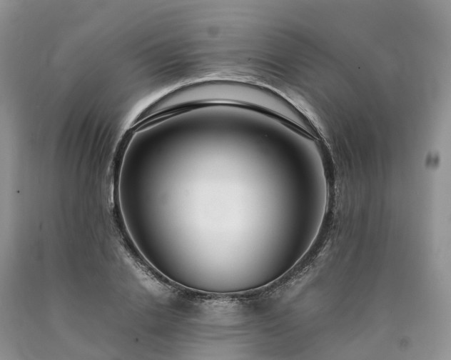 X0000090470838200707201353