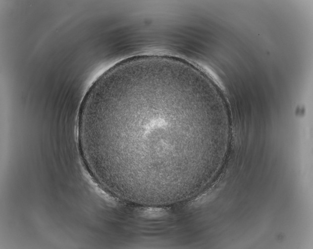 X0000090470839200707201353